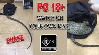 PG 18+-Watch It On Your Own Risk-This Is Horrible To Have A Snake in Your Bag-Trending Infotainment