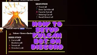 How to setup Vulcan Bot On Discord