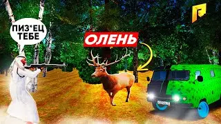 ПРОВЕРКА ОХОТЫ НА ОЛЕНЕЙ! КЛЮЧИ НЕ ПАДАЮТ С ОХОТЫ?! ЧТО СЛУЧИЛОСЬ?! RADMIR RP|HASSLE ONLINE