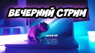 РОЗЫГРЫШ Macbook Pro | Вечерний стрим с подписчиками