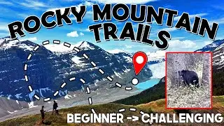 Hike with Us in the Rockies - Beginner to Challenging