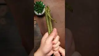 It Unravels In SECONDS!