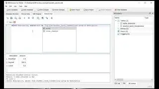 Database SQL Basics SQLite DB Browser