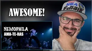 Nemophila -  Ama-Te-Ras | This band is awesome! | Reaction and Breakdown