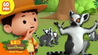 What are the Lemurs Doing?! 😝 | Funny Animals! 🤣 | Leo the Wildlife Ranger | Kids Cartoon