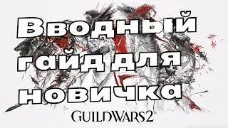 Guild Wars 2 - Вводный гайд для новичка по прокачке и шмоту.