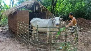 Build Hut for cow - House cow