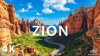 Explore Zion National Park in Stunning 4K: A Perfect Escape from Reality