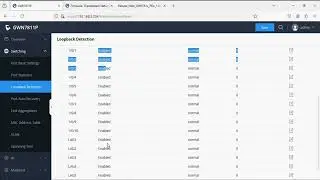 Loopback detection in Grandstream switch | VoIP knowledge