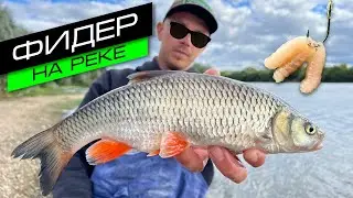 ФИДЕР НА РЕКЕ / ЛОВЛЯ ЛЕЩА, ГОЛАВЛЯ, ГУСТЕРЫ / FROS FISHING