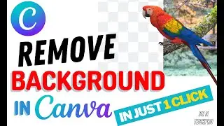 How to Remove Background in Canva | Change Background