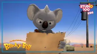 Freaky Frillday - The Wild Adventures of Blinky Bill 🐨🌿