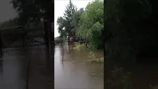 Наводнение в Приморском крае 12.08.2023г.Хорольский район село Лучки затопило. Деревню затопило.