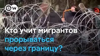 Как мигранты нелегально попадают из Беларуси в Польшу, и кто им в этом помогает