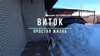 В семье разлад из-за собаки. Ущерб после снежной зимы. Кот украл курицу.