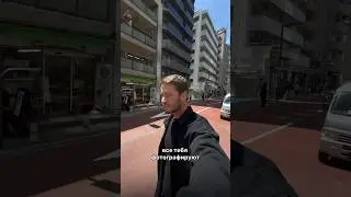Даже на асфальте в Японии фотографируют 😁