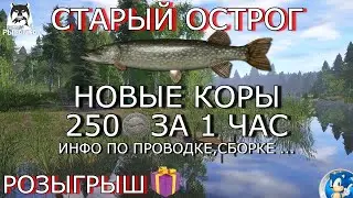 🌟СТАРЫЙ ОСТРОГ🌟НОВЫЕ КОРЫ НА ЩУКУ🌟250 СЕРЫ ЗА 1 ЧАС🌟🎁РОЗЫГРЫШ🎁🌟Русская Рыбалка 4(РР4)🌟