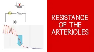 4.4 Cardiovascular: Resistance of the Arterioles