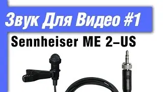 Микрофон петличный Sennheiser ME 2 US – подводные камни