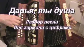 Дарья, ты душа ( гармонь )