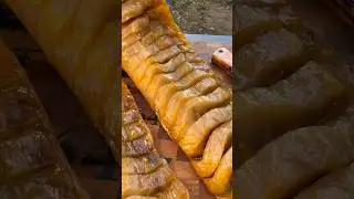 РЫБНАЯ РЕЛИКВИЯ 🐟 ВЯЛЕНЫЙ ОСЕТР 