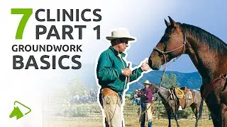 Groundwork for Beginners | 7 Clinics with Buck Brannaman | wehorse