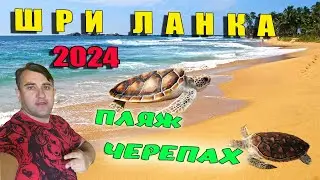 ШРИ ЛАНКА 2024. ГУЛЯЮ ПО ХИККАДУВЕ. ПЛЯЖ С МОРСКИМИ ЧЕРЕПАХАМИ.