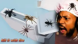 WARNING: IF YOU DONT LIKE SPIDERS DONT WATCH | Kill It With Fire: Ignition