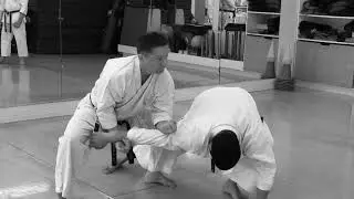 Revealing the Kick Elbow Bunkai in Seipai Kata