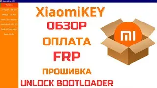 XiaomiKEY Oбзор Оплата