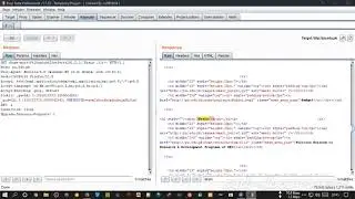 SQLi BurpSuite When Not Working SQL Command