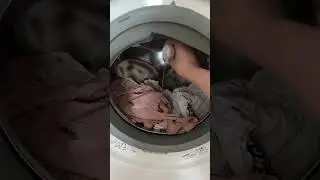 Лучший гель для стирки!
