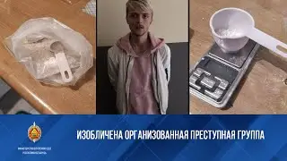 В Бресте изобличены члены организованной преступной группы