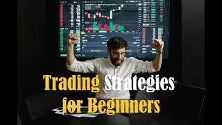 Trading for beginners: Strategies for dummies