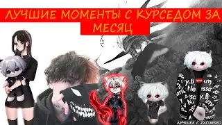 Лучшие моменты с Курседом за месяц / ZXCURSED