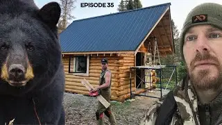 Log Cabin Build on Off-Grid Homestead |EP35| BEAR IN CAMP