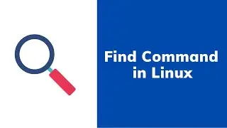 How to find all files with the same extension within a directory using find command