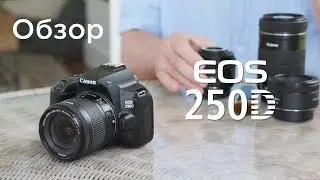 Обзор камеры Canon EOS 250D