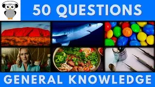 General Knowledge Quiz Trivia | Ayers Rock, Shark, M&M Candy, Kate Winslet, Thai Curry, Surgery