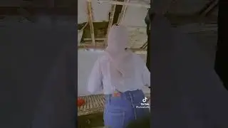 TIKTOK JILBAB CANTIK TOGE HOT PEMERSATU BANGSA 