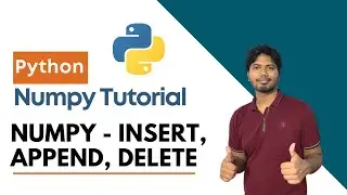 9. Numpy - Insert, Append, Delete | CloudyML