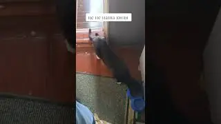 #ukraine