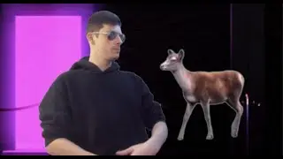 night club for deer