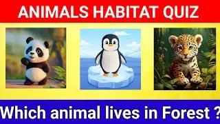 ANIMALS HABITAT QUIZ FOR KIDS ! ANIMALS  HOME QUIZ FOR KIDS AND CHILDREN ! ANIMALS HABITAT !