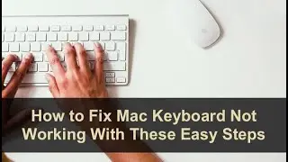 How to Fix Mac Keyboard Not Working With These Easy steps