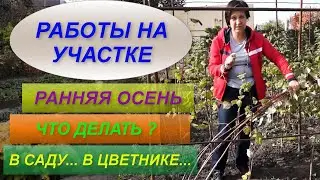 РАННЯЯ ОСЕНЬ | РАБОТЫ В САДУ...В ЦВЕТНИКЕ... | ЧТО НУЖНО СДЕЛАТЬ?