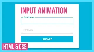 Beautiful Input Animation Using HTML & CSS