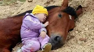 Special Moment between a Little Friend and a Horse ❤️ Best Animal Videos