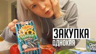 ЗАКУПКА ПРОДУКТОВ, КОГДА ЖИВЕШЬ ОДНА  😳 Обновки Для Животных