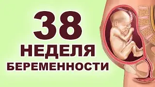 Что происходит с ребенком и мамой на 38 неделе беременности? 9 месяц беременности. Третий триместр.